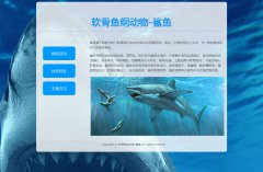 软骨鱼纲动物-鲨鱼 3页面 海洋生物 动物科普主题