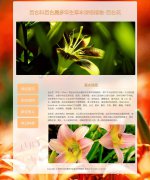 百合花 4页面 百合科百合属多年生草本球根植物 花卉科普主题 带设计说明 