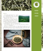 信阳毛尖 3页面 茶叶介绍 带设计说明 