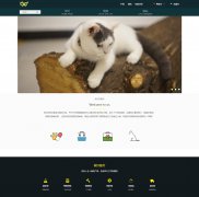 CAT 宠物猫猫 4页面   猫站电商 带PSD 设计说明 JS轮播特效 三级页面