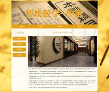 传统医学-中医 4页面 汉医 HTML5  带设计说明 JS图片轮播特效