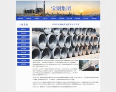 中国宝武钢铁集团有限公司 10页面 宝钢集团 企业国企 HTML5  带设计说明 JS图片