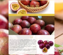 鸡蛋果 百香果 2页面 水果介绍 带JS图片轮播特效