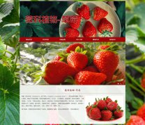 薇科植物-草莓 6页面 水果介绍  带设计说明 JS图片轮播特效