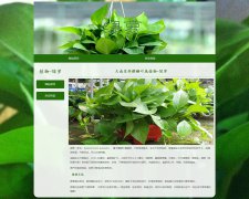 天南星科麒麟叶属植物-绿萝 2页面 植物介绍  带设计说明 JS图片轮播特效