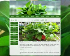 天南星科麒麟叶属植物-绿萝 10页面 植物介绍  带设计说明 JS图片轮播特效 注册
