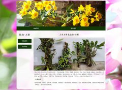 兰科石斛属植物-石斛 2页面 植物介绍 带JS图片轮播特效 