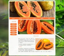 番木瓜 2页面 木瓜 乳瓜 万寿果 HTML5  带JS图片轮播特效