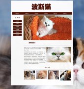 波斯猫 4页面 宠物动物 长毛猫 HTML5  带设计说明 背景音乐 JS图片轮播特效 滚动文字 鼠标经过图片