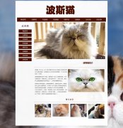 波斯猫 12页面 宠物动物 长毛猫 HTML5  带设计说明 背景音乐 JS图片轮播特效 滚动文字 鼠标经过图片 JS时间代码 注册登录留言表单