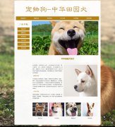 宠物狗-中华田园犬 6页面 宠物动物 土狗 柴狗 HTML5 带 设计说明 背景音乐 JS图片轮播特效 滚动文字 鼠标经过图片 JS时间代码 注册表单