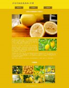 芸香科柑橘属植物-柠檬 3页面 水果 html5+css3布局  带设计说明 JQuery图片轮播特效