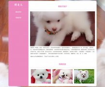 博美犬 2页面 宠物狗狗 哈多利系博美犬 德国狐狸犬 HTML5 media 响应式布局 带设