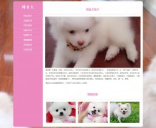 博美犬 8页面 宠物狗狗 哈多利系博美犬 德国狐狸犬 HTML5 media 响应式布局 带设