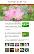 毛茛目睡莲科莲属植物-荷花 单页面 科普主题 HTML5 带jquery轮播特效