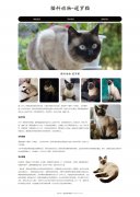 猫科动物-暹罗猫 3页面 泰国短毛猫 宠物猫 HTML5+CSS3布局 带设计说明 