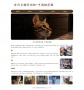 食肉目猫科动物-中国狸花猫 5页面 自然猫 宠物猫 HTML5+CSS3布局  带设计说明 登录表单