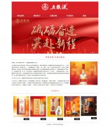 世界名酒-中国五粮液 5页面 四川宜宾特产 白酒食品品牌 HTML5  带设计说明 JS图片轮播特效 登录表单