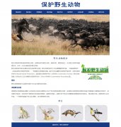 野生动物保护 10页面 公益主题 HTML5  带设计说明 JQuery图片轮播特效  asp+access数