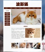 波斯猫 13页面 宠物动物 长毛猫 HTML5 带设计说明 背景音乐 JS图片轮播特效 滚动