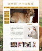 宠物狗-中华田园犬 12页面 宠物动物 土狗 柴狗 HTML5 带设计说明 背景音乐 JS图片