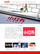 小红书 8页面 内容电商种草社区APP 生活方式平台 最具创新力企业 带设计说明