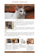 宠物猫猫-英国短毛猫 5页面 HTML5 动物宠物主题 带设计说明 JS轮播特效 asp+acce