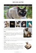 猫科动物-暹罗猫 8页面 泰国短毛猫 宠物猫 HTML5+CSS3布局  带设计说明  动态php