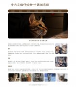 食肉目猫科动物-中国狸花猫 8页面 自然猫 宠物猫 HTML5+CSS3布局  带设计说明  动态php+mysql 注册登录留言功能 admin管理员修改删除功能 表单验证