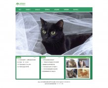 宠物家园 3页面 宠物猫咪主题 信息专业门户网站