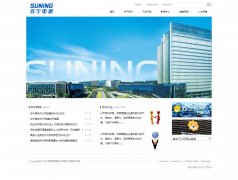  苏宁易购集团股份有限公司 单页面 苏宁电器 企业官网