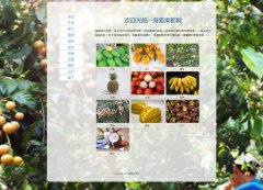 海南果都网 11页面 海南水果介绍