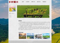 乡村振兴战略 5页面 聚焦三农  数字乡村 带本地视频 留言表单