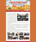 乡村振兴 5页面 农村电商 家庭农场 乡村旅游  新闻时政  带滚动文字 本地视频 
