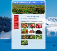 新疆水果网 11页面 新疆美食水果介绍 