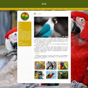 鹦鹉 9页面 Parrot 濒危物种 宠物 鸟类科普 HTML5 带设计说明 JS图片轮播特效 注册