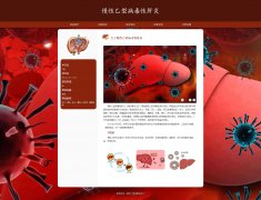 慢性乙型病毒性肝炎 5页面 乙肝 医学科普 HTML5 带设计说明 JS图片轮播特效