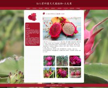 仙人掌科量天尺属植物-火龙果 9页面 水果科普 HTML5 带设计说明 JS图片轮播特效