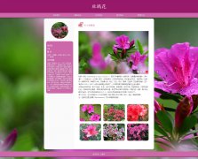 杜鹃花 单页面 花卉植物 映山红 山石榴 中国十大名花之六 HTML5 带设计说明 JS图片轮播特效 