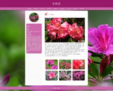 杜鹃花 9页面 花卉植物 映山红 山石榴 中国十大名花之六 HTML5 带设计说明 JS图片轮播特效 注册登录留言表单 表单验证