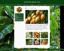 芸香科黄皮属植物-黄皮 单页面 南方常见水果 HTML5 带设计说明 JS图片轮播特效 