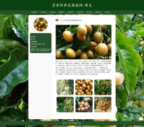 芸香科黄皮属植物-黄皮 9页面 南方常见水果 HTML5 带设计说明 JS图片轮播特效