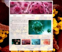 生物病毒科普 4页面 新冠病毒疫情介绍 HTML5+CSS3布局 带设计说明 JS轮播特效