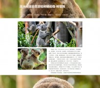 考拉 10页面 澳大利亚珍贵原始树栖动物-树袋熊 动物科普主题 带设计说明  ph