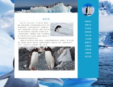 南极企鹅 12页面 动物科普主题  带设计说明 php+mysql数据库 注册登录留言功能 admin管理员搜索修改删除功能（增删查改）