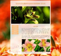 百合花 6页面 百合科百合属多年生草本球根植物 花卉科普主题 带设计说明   
