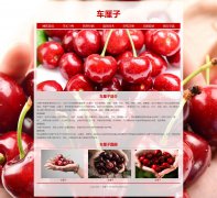 车厘子 8页面 植物水果科普系列 樱桃 HTML5 带设计说明  php+mysql数据库 注册登录