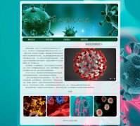 新型冠状病毒 5页面 热点话题 抗击肺炎疫情科普主题 带设计说明  HTML5+CSS3布局