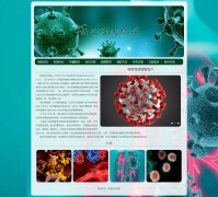 新型冠状病毒 10页面 热点话题 抗击肺炎疫情科普主题  带设计说明 HTML5+CSS3布局