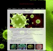 抗击肺炎防护指南 10页面 热点话题 新冠病毒防治 肺炎疫情科普 php+mysql数据库